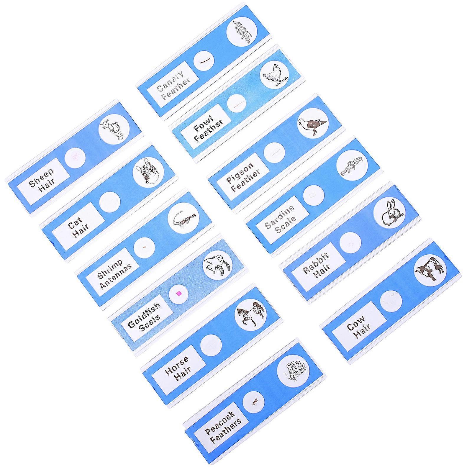 Animal Sample Specimens for Laboratory Prepared Microscope Slides 12Pcs