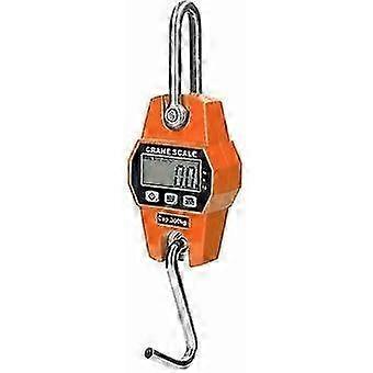 Heavy Lifting Scale For Hook Crane, 300 Kg