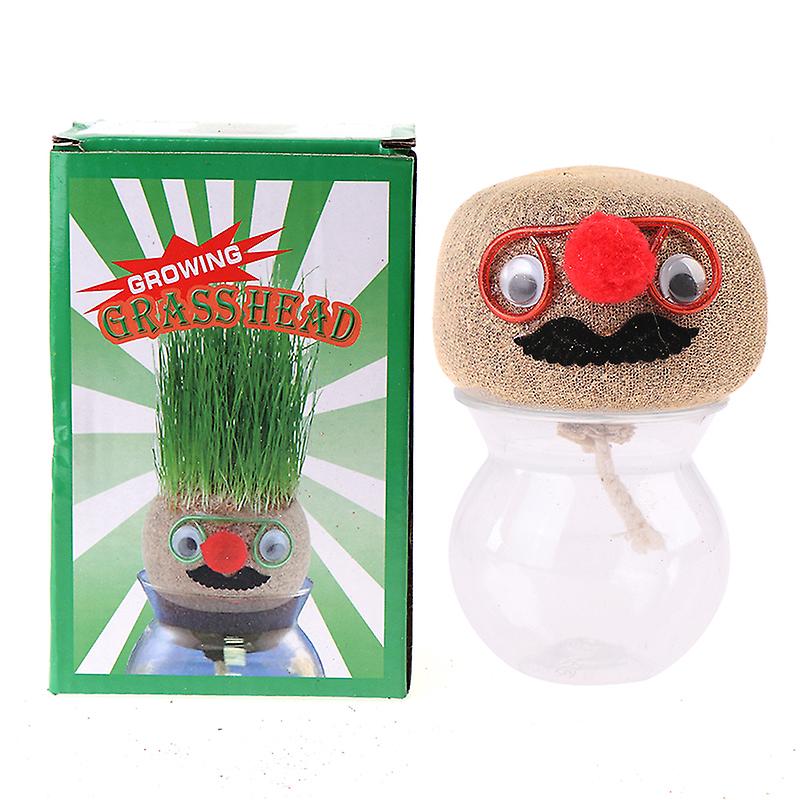 1 Pcs Uncle Beard Grass Head Doll Grow Pots Office Radiation Proof Potted Plant