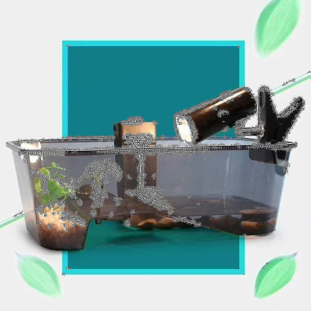 Open Turtle Tank With Terrace Water Turtle Box Brazilian Basin