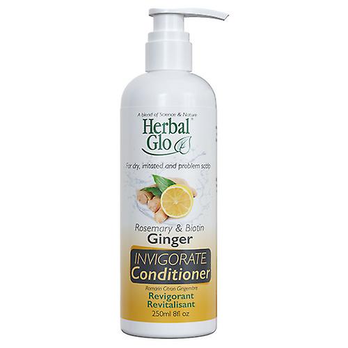 Herbal Glo Ginger INVIGORATE Conditioner, 250 Ml (Pack of 2)