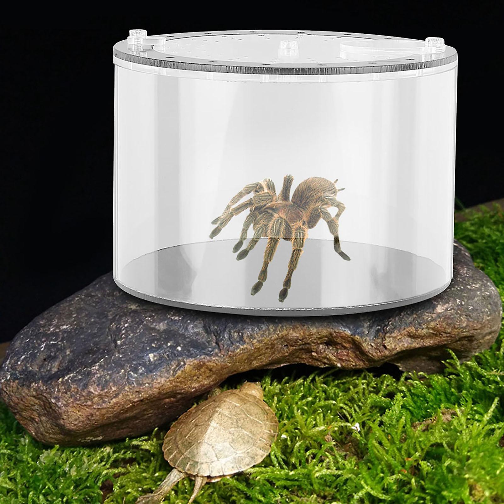 Ecological Landscape Bottle Round Climbing Pet Feeding Box for Spiders Lizards Tortoise