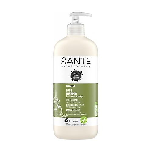 Ginkgo and olive treatment shampoo 500 ml