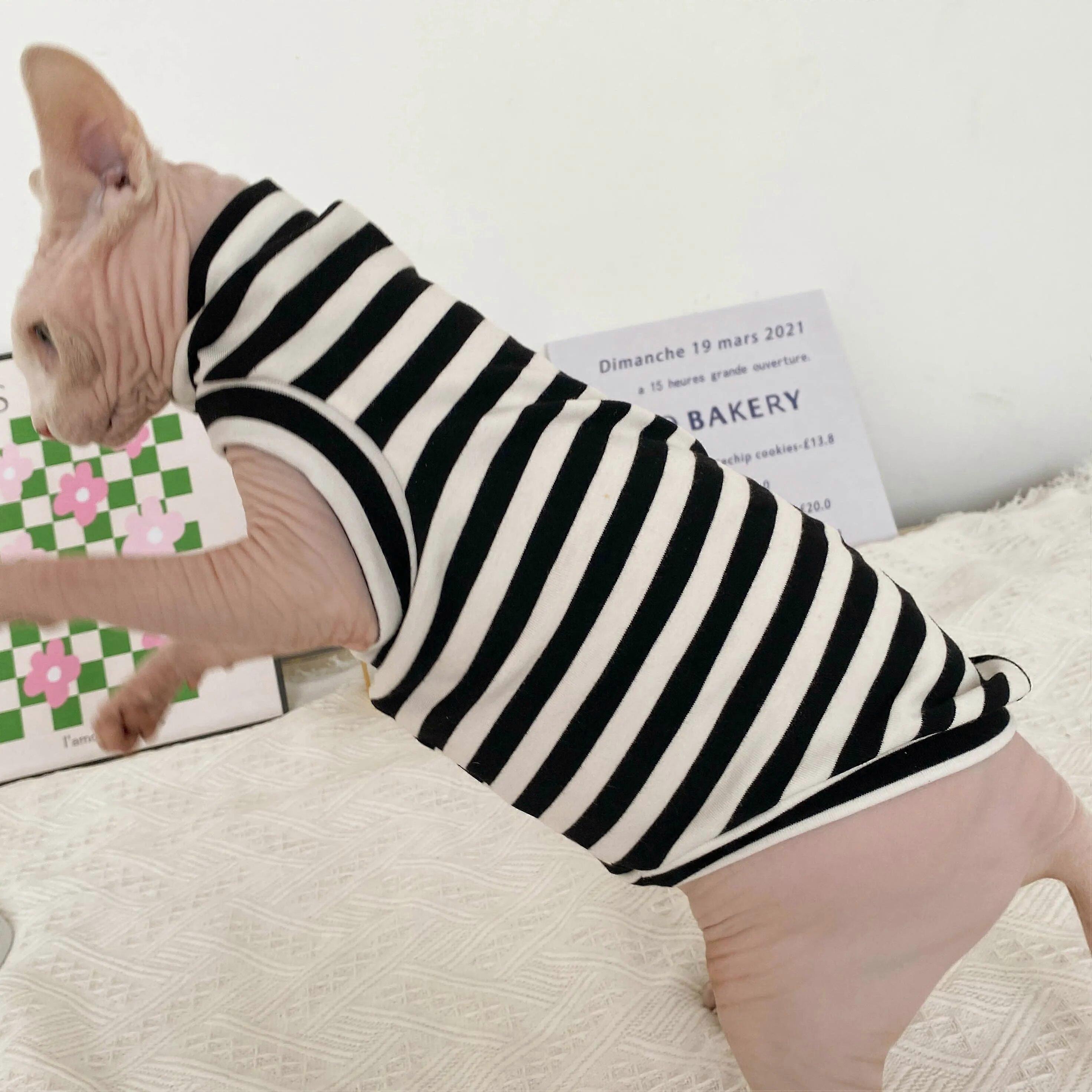 ربيع خريف شتاء Sphynx ملابس القط رشاقته القطط بذلة لأبو الهول القطط مخطط هوديس الدافئة زي DevonRex قميص