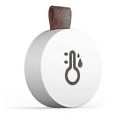 Thermometer Hygrometer Wireless Bluetooth