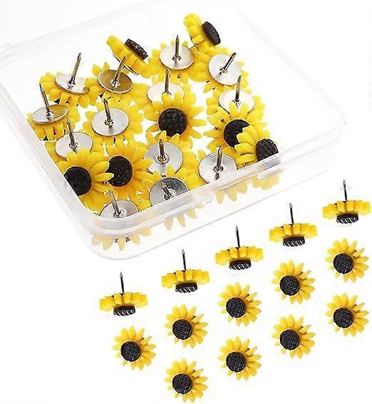 Rose Mixed Color Flowers Thumbtack