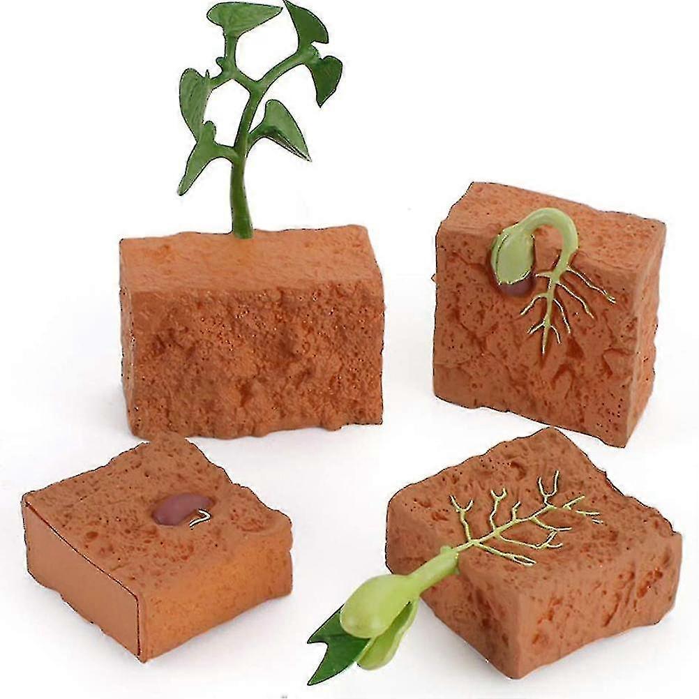 Green Plant Growth Model Kit Children's Learning Educational Toys