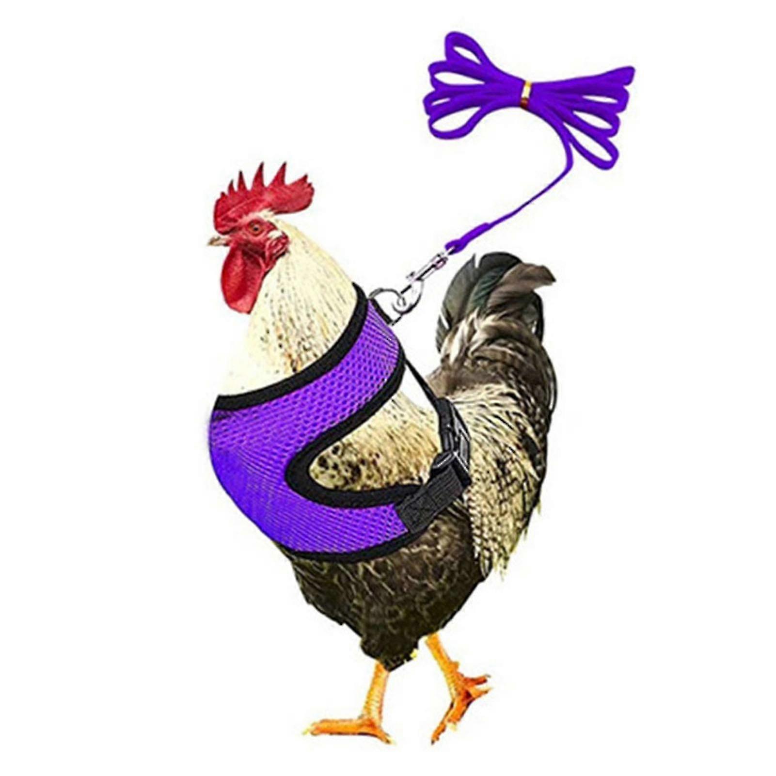 Adjustable Chicken Harness With Leash- Comfortable Hen Vest Breathable Mesh