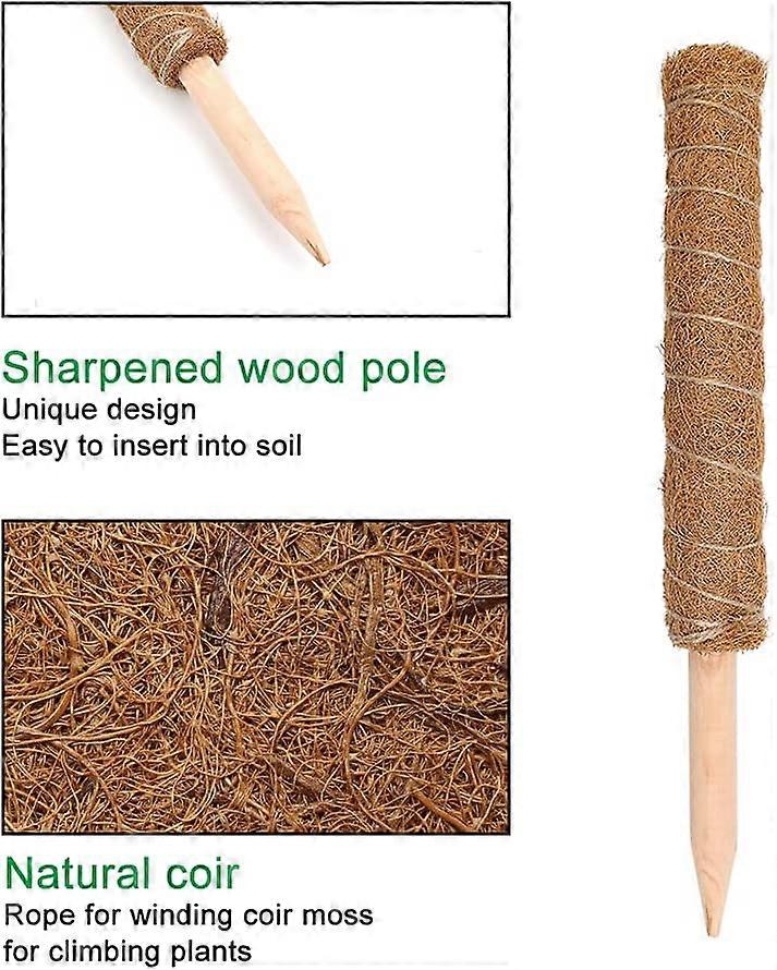 2 Pack Support Support for Climbing Plants Extendable Coconut Moss Stick