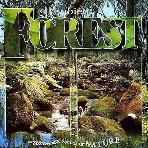Ambient Forest CD (2004)