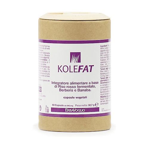 Kolefat 60 tablets of 450mg