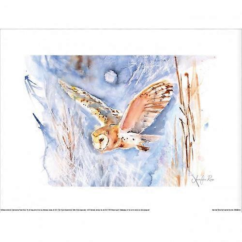 Jennifer Rose Barn Owl Winter Sky Poster