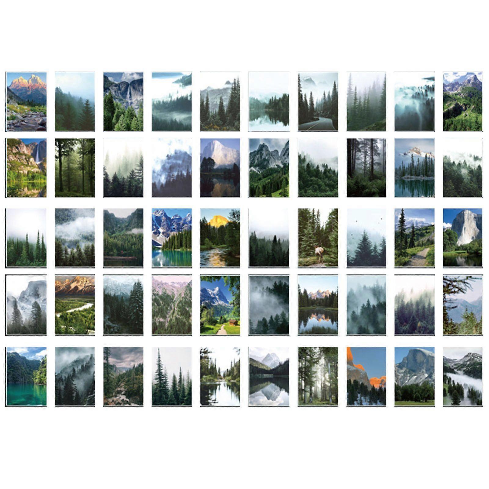 2025 Latest Model  50 Sheets Forest Stickers Different Patterns Easily Peel