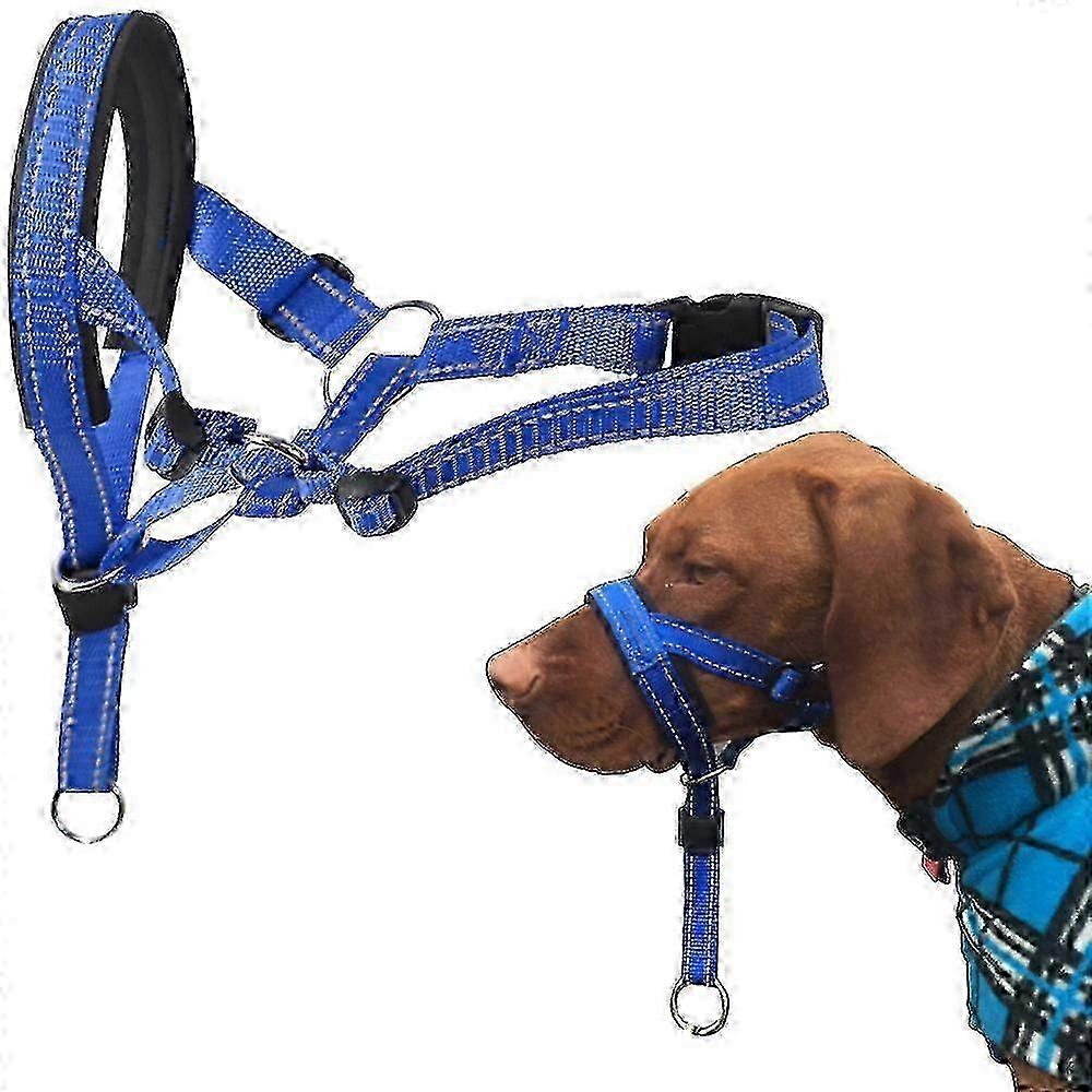 No-Pull Dog Head Halter with Safety Strap for Medium & Large Dogs - Training Collar for Gentle Control
