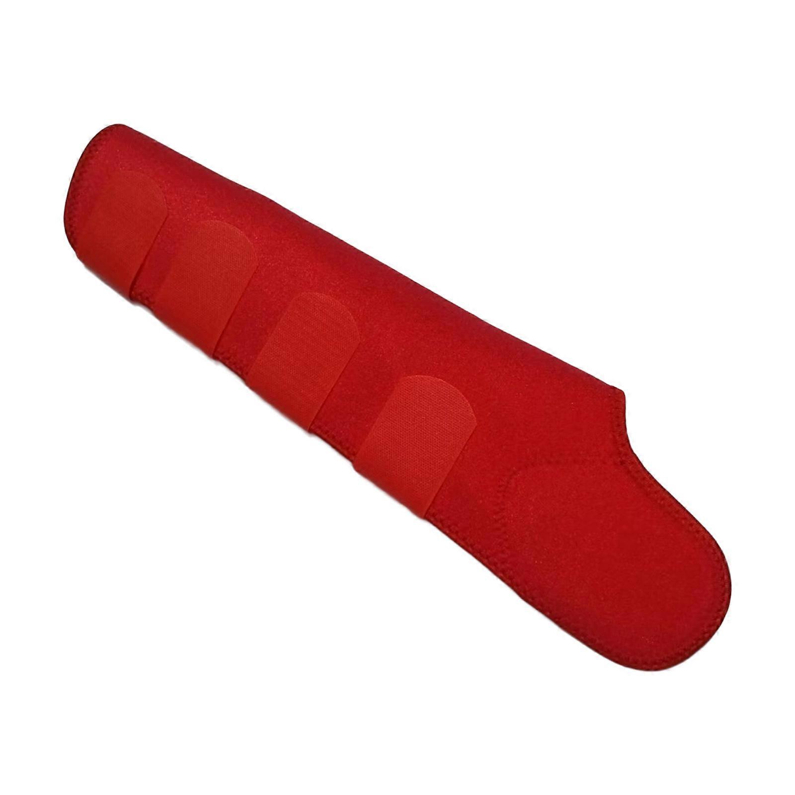 Reinforced Horse Tail Guard With 4 Adjustable Straps For Stable Fit During Transport Training And Shows  Red