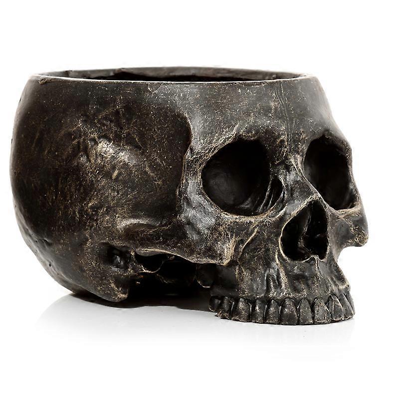 Skull Garden Planter 1-pakning