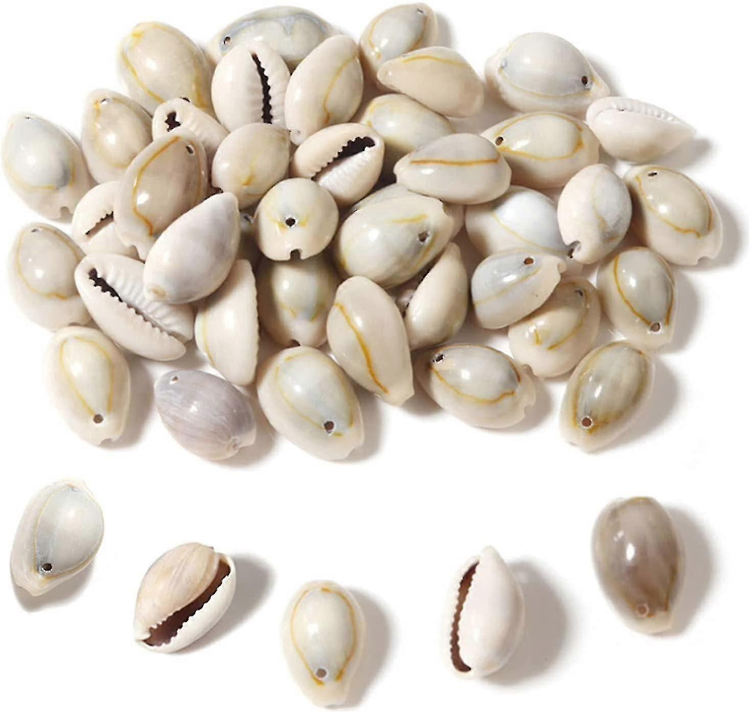 140 قطعة قذيفة الصدف الحلزوني الطبيعي مع زخرفة الثقب الصدف الطبيعي أفضل هدية
