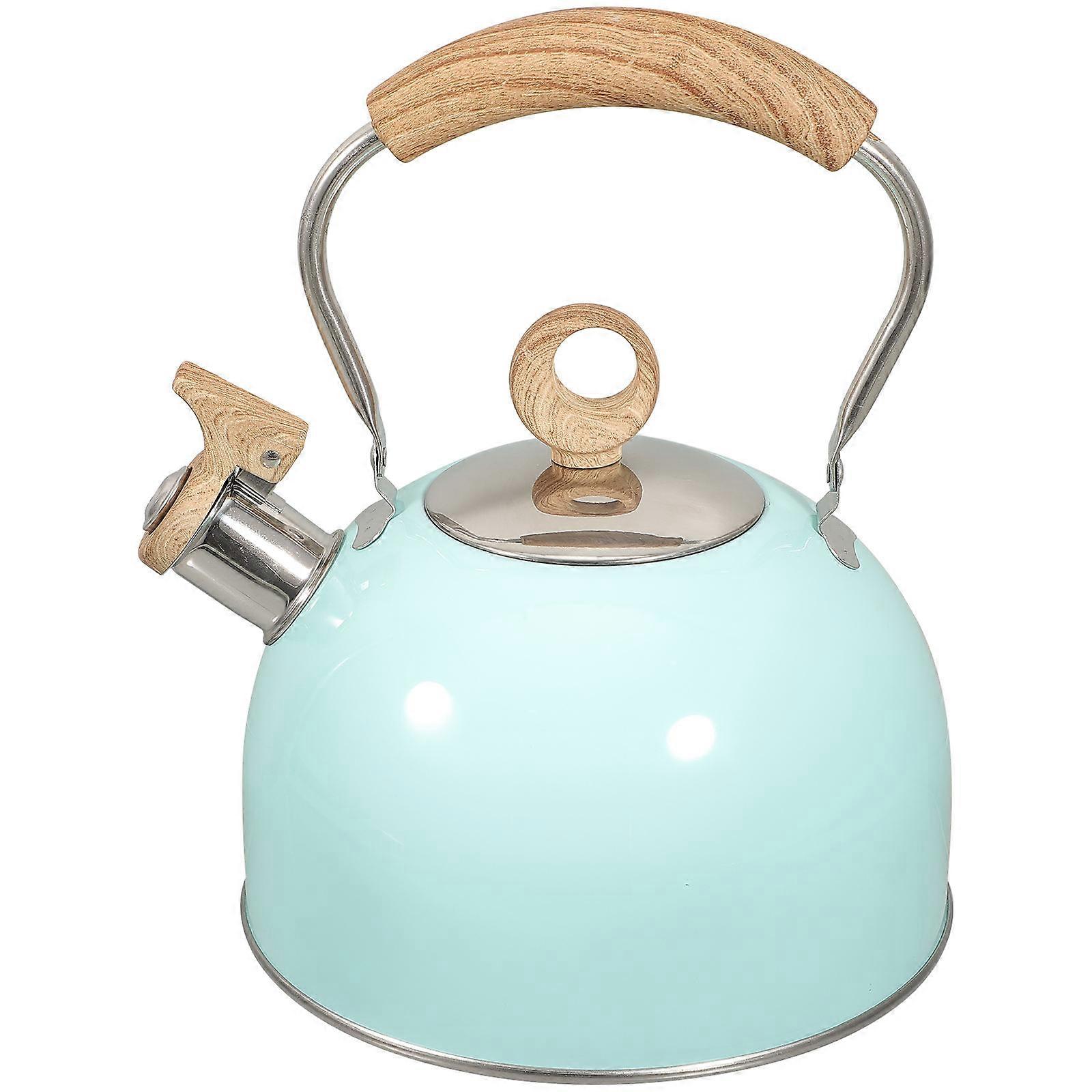 Blue Metal Water Kettle for Boiling with Handle 2.5L Volume