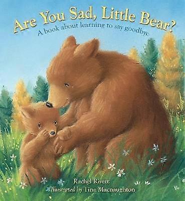 Are You Sad Little Bear?
