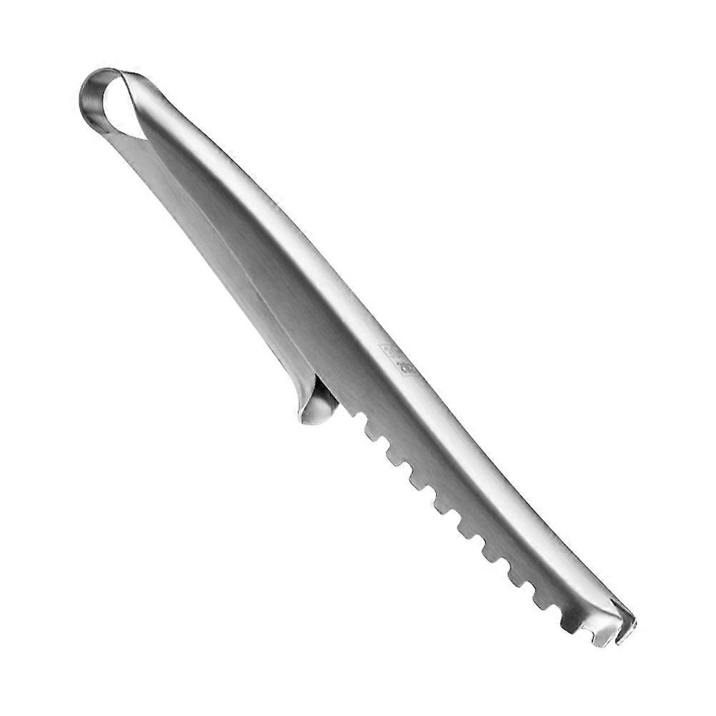 Scale Remover Stainless Steel Fish Cleaning Tool for Kitchen