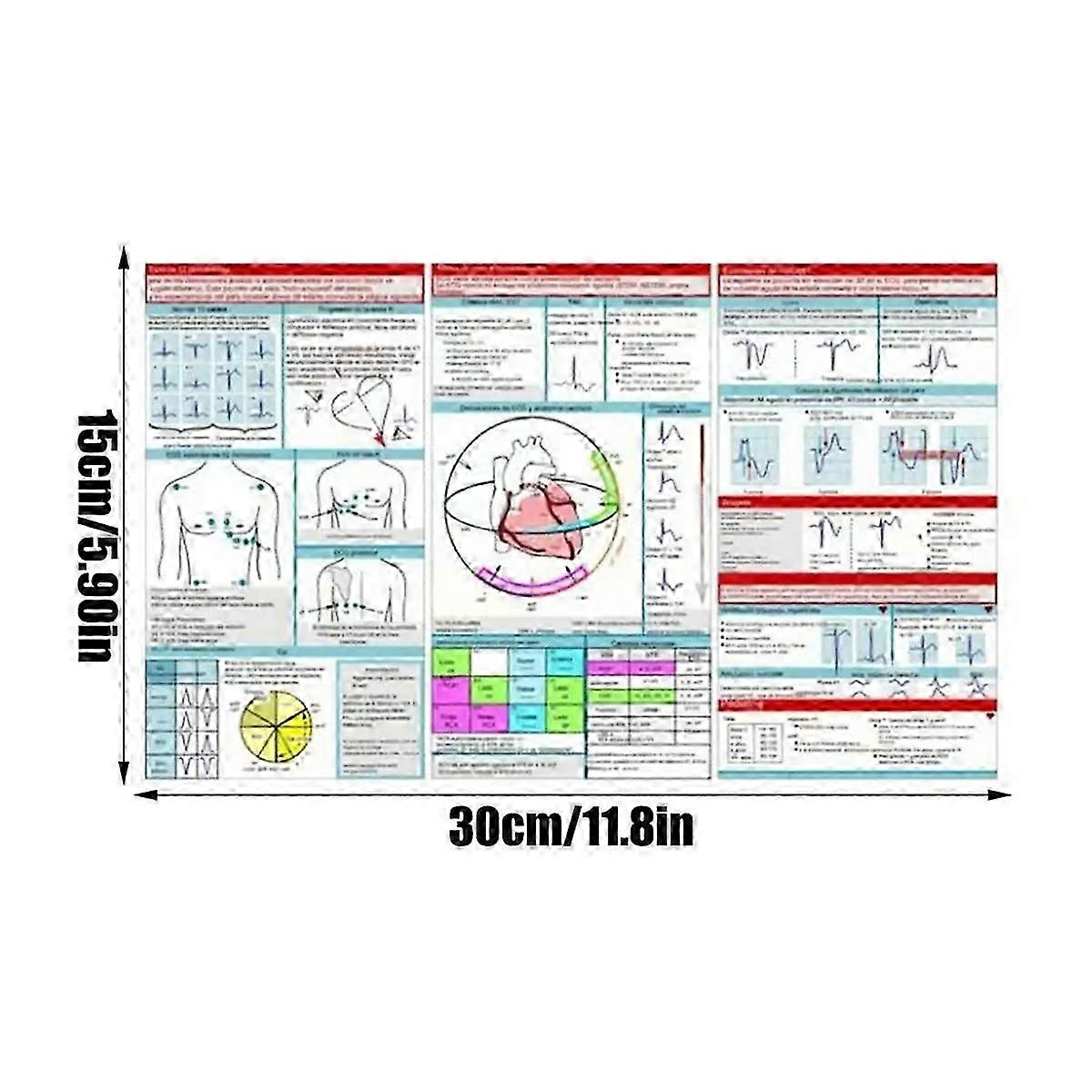 EKG Pocket Guide Ecg Interpretation Pocket Card Horizontal & Vertical Layout Compact Reference Guide