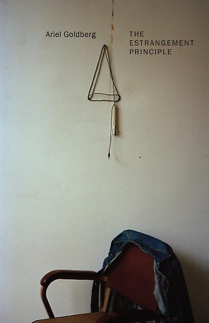 The Estrangement Principle by Ariel Goldberg Paperback