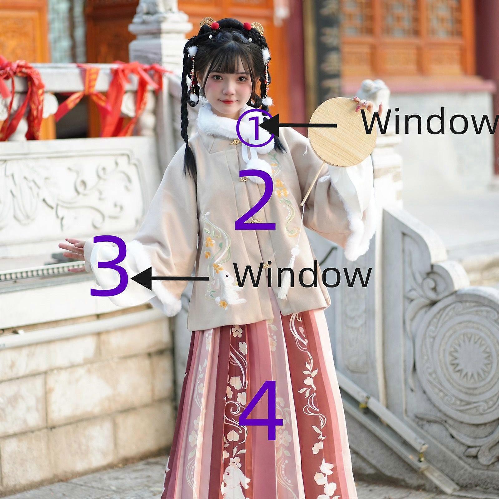 تانغ المرأة مربع الرقبة نصف الأكمام سميكة سترة ملفوفة مطرزة مطوي تنورة الخريف والشتاء الصينية الجديدة ثوب بطاقة اللون 4 قطع