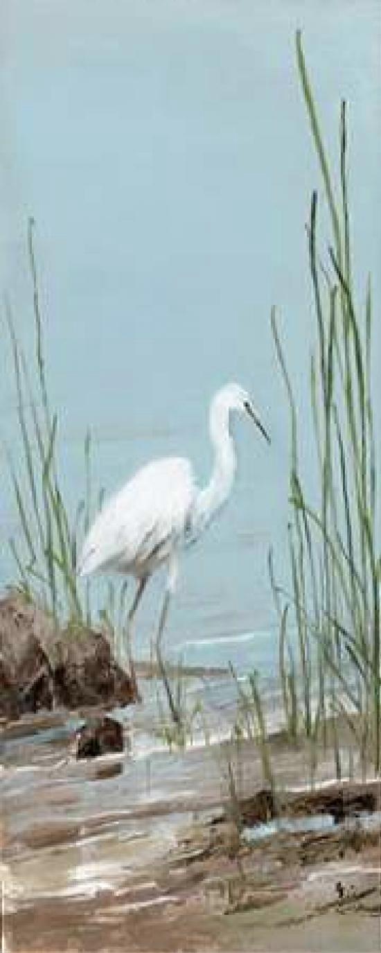 Island Egret I Poster