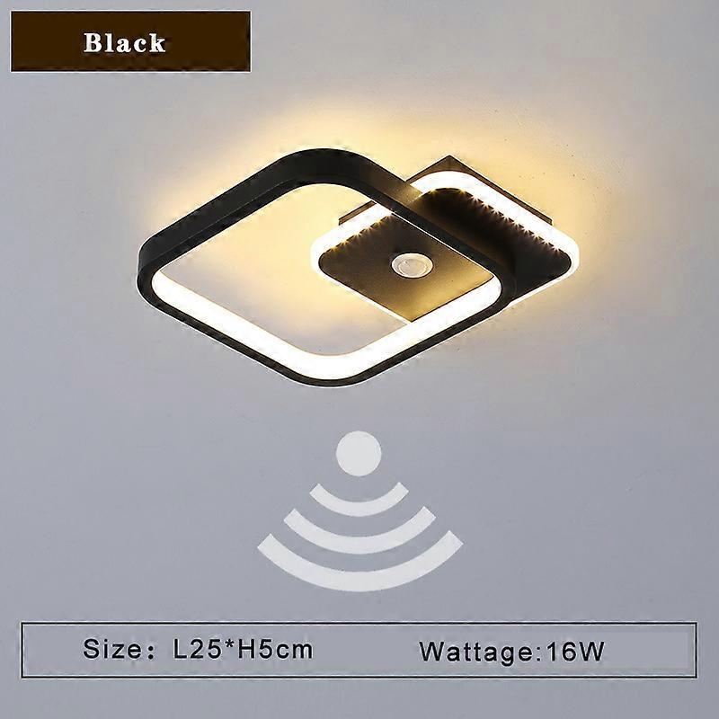 PIR Motion Sensor LED Ceiling Lamp for Aisle Corridor 220V Indoor 14w 16w Human Body Sensor LED Ceiling Lighting for Bedroom