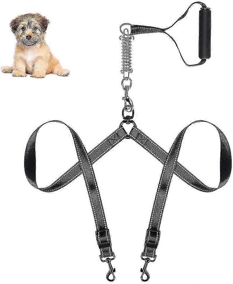 Adjustable Double Dog Lead Leash