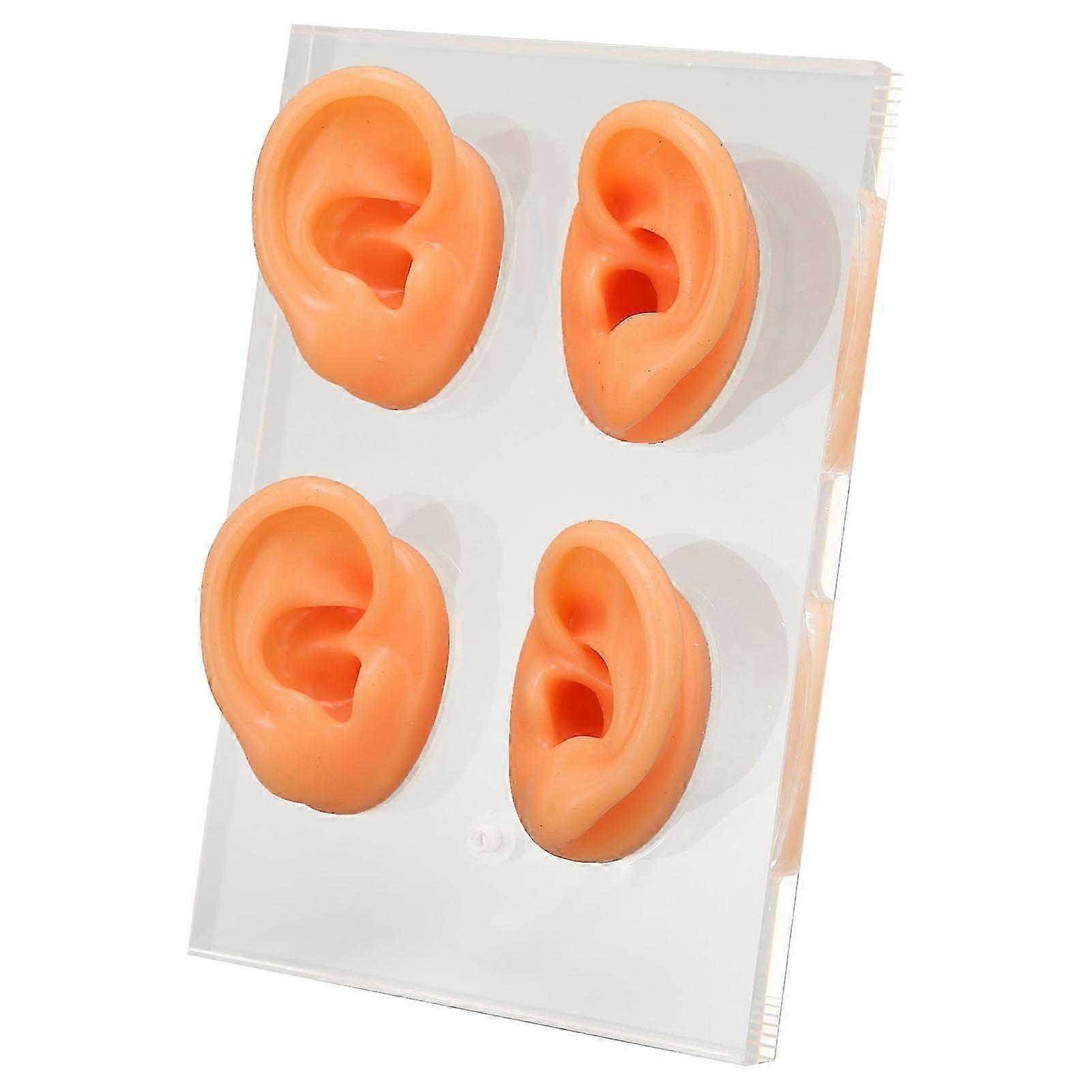 Human Ear Model Silicone Ear Model with Acrylic Stand for Teaching Instructions Shop Window Display