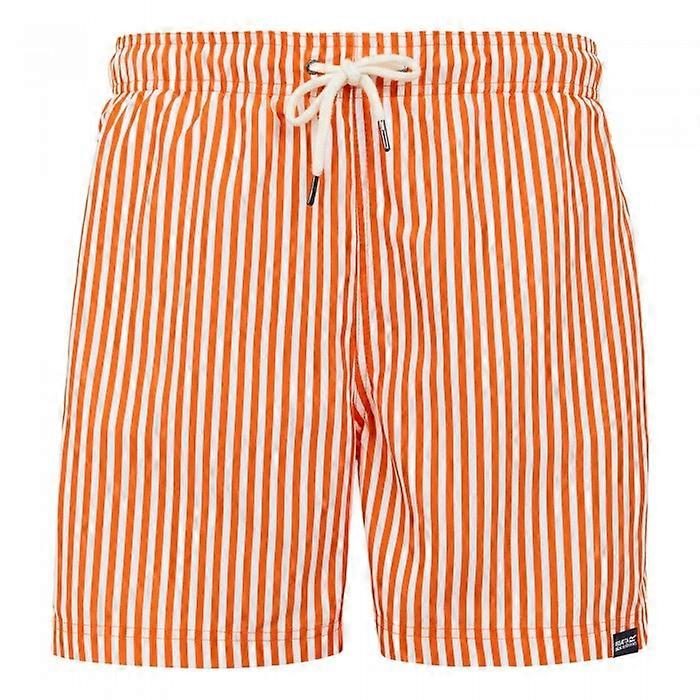 Regatta Mens Loras Stripe Swim Shorts