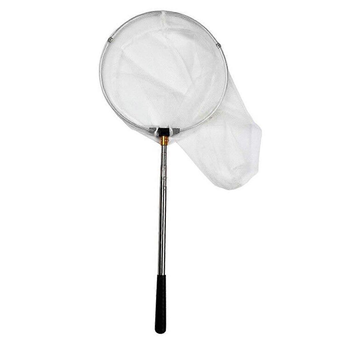 Certified Bug Catcher Stainless Steel Extendable Durable Net For Young Explorers