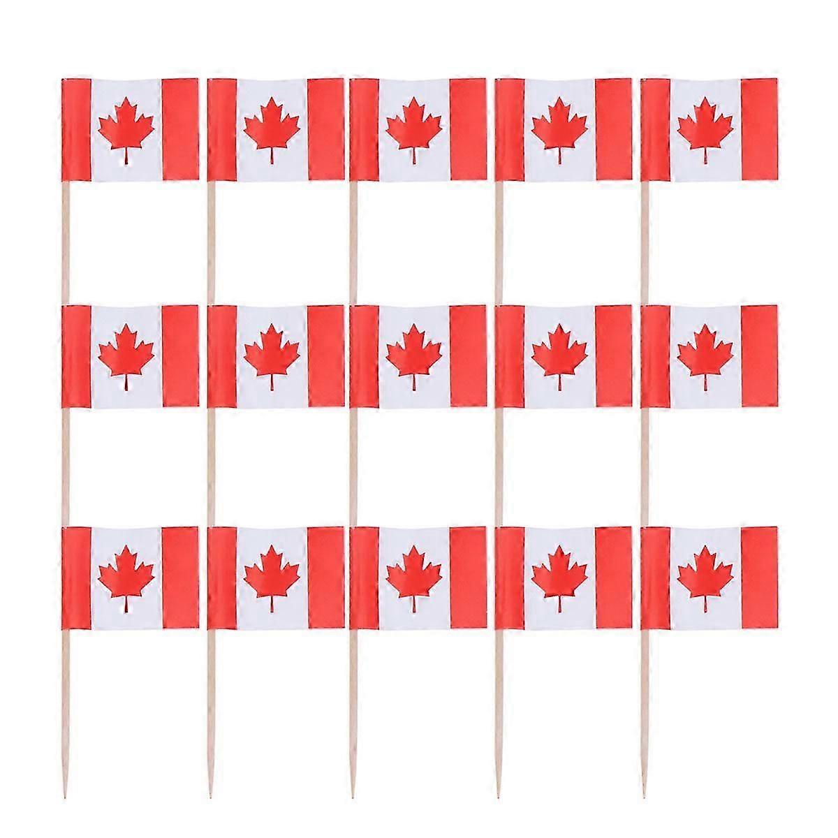 100pcs Toothpick Flags for Cupcakes and Cocktails