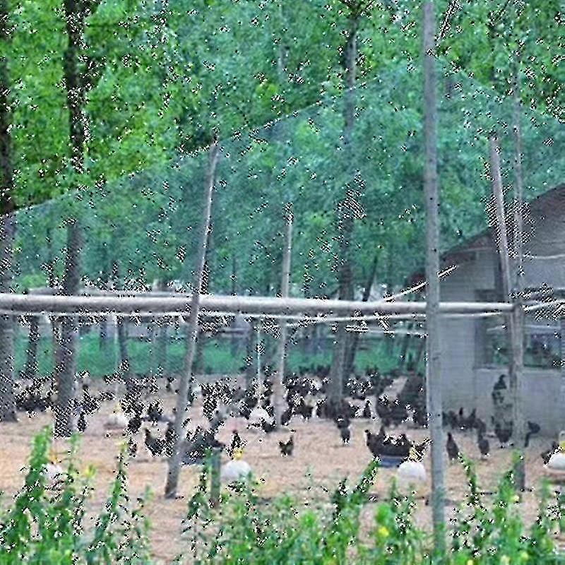 Heavy Duty Anti Bird Netting for Garden and Crop Protection from Birds and Animals