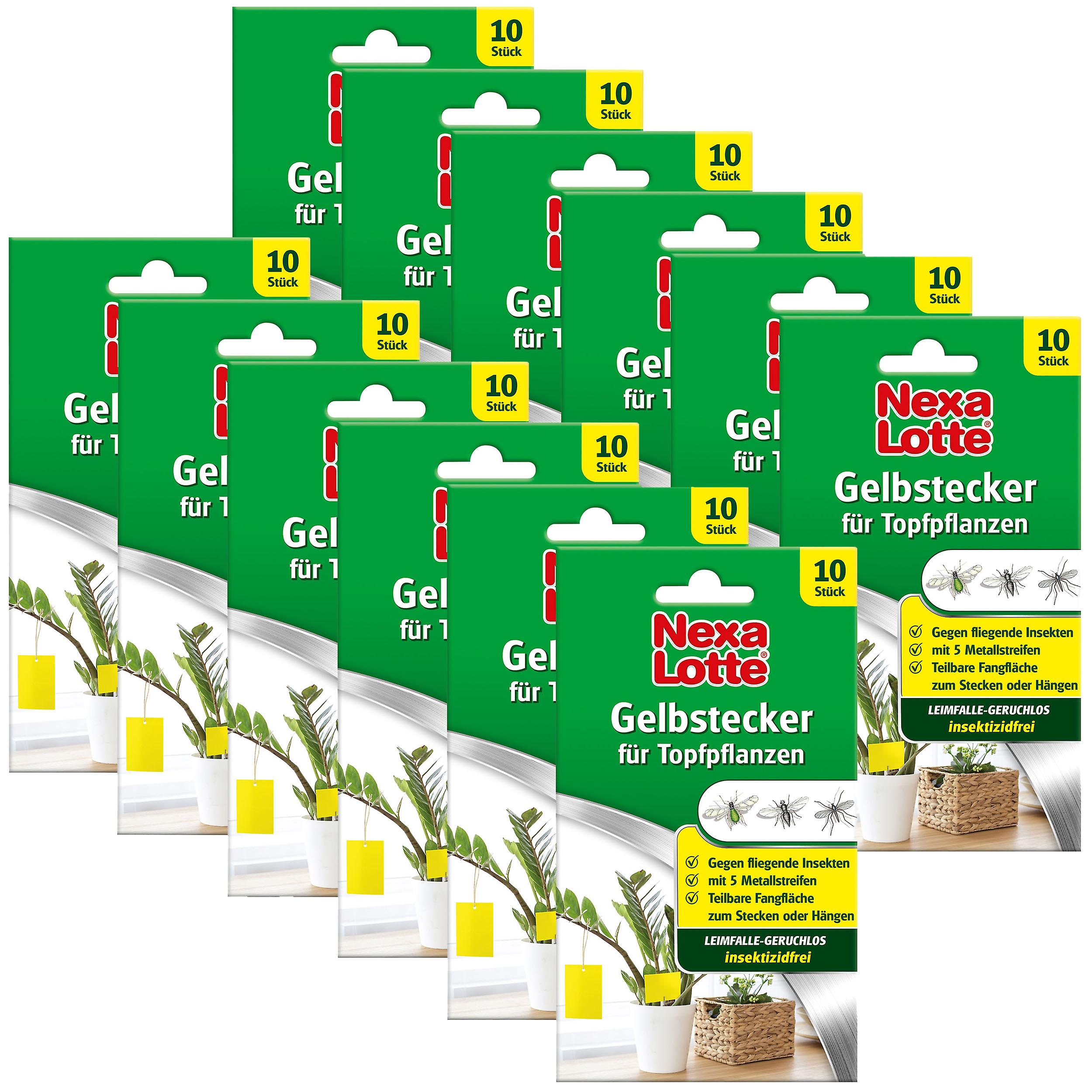 12 x NEXA LOTTE® yellow plug for potted plants, 10 pieces