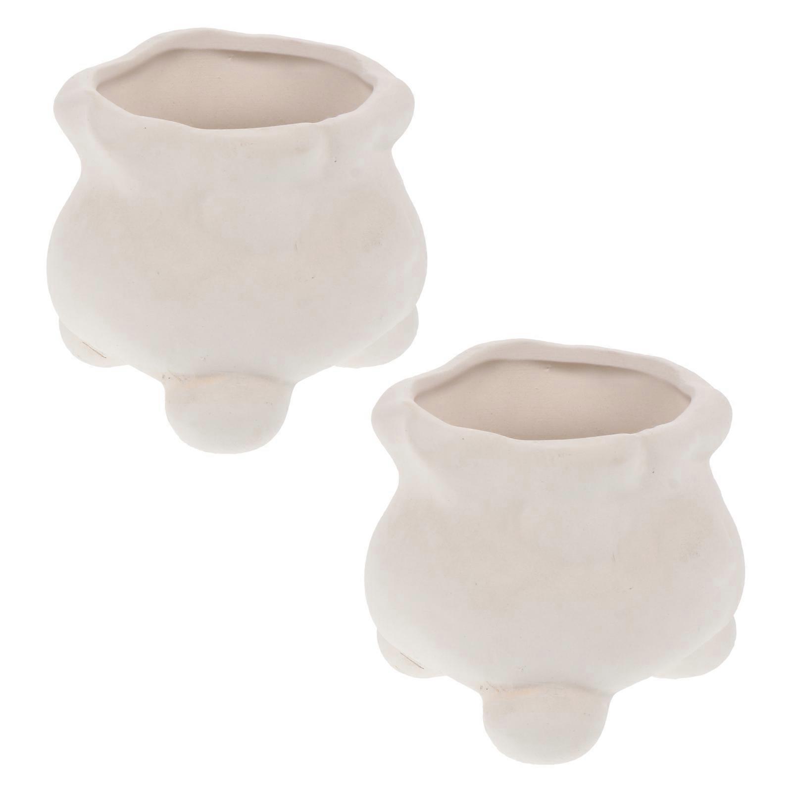 Ceramic Flowerpots Paintable Pots for Decoration DIY 2Pcs Collection