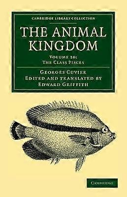 The Animal Kingdom