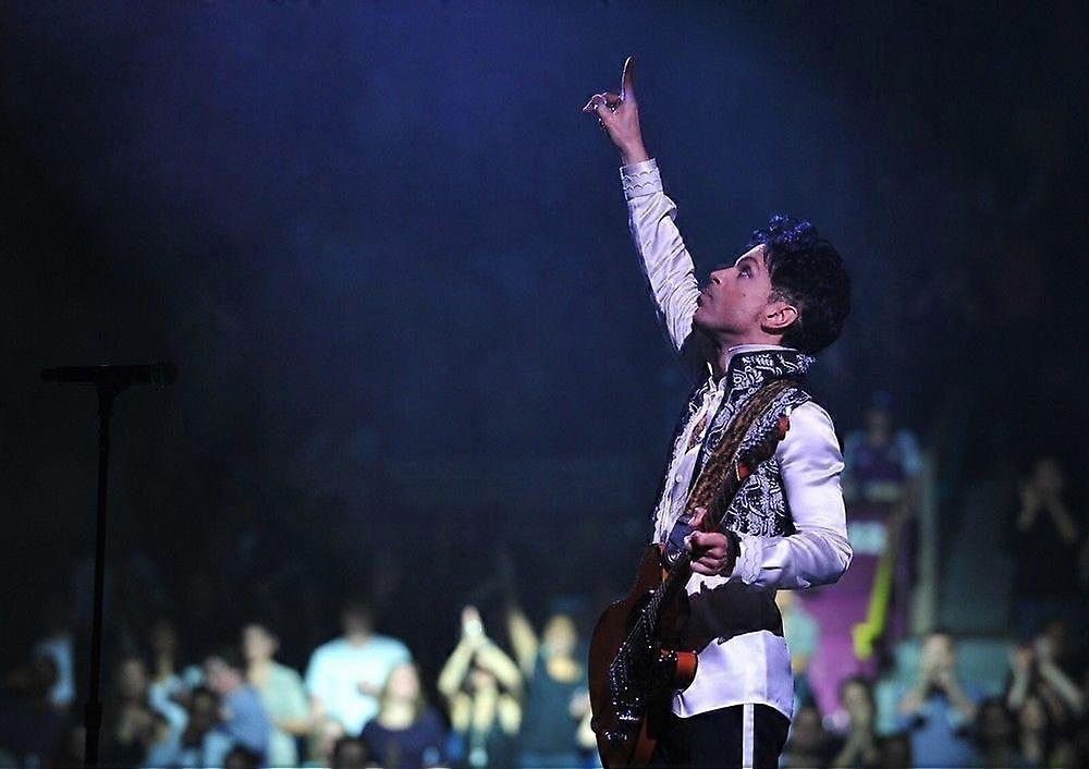 Prince Jigsaw Puzzle Brain Teaser QT 1064