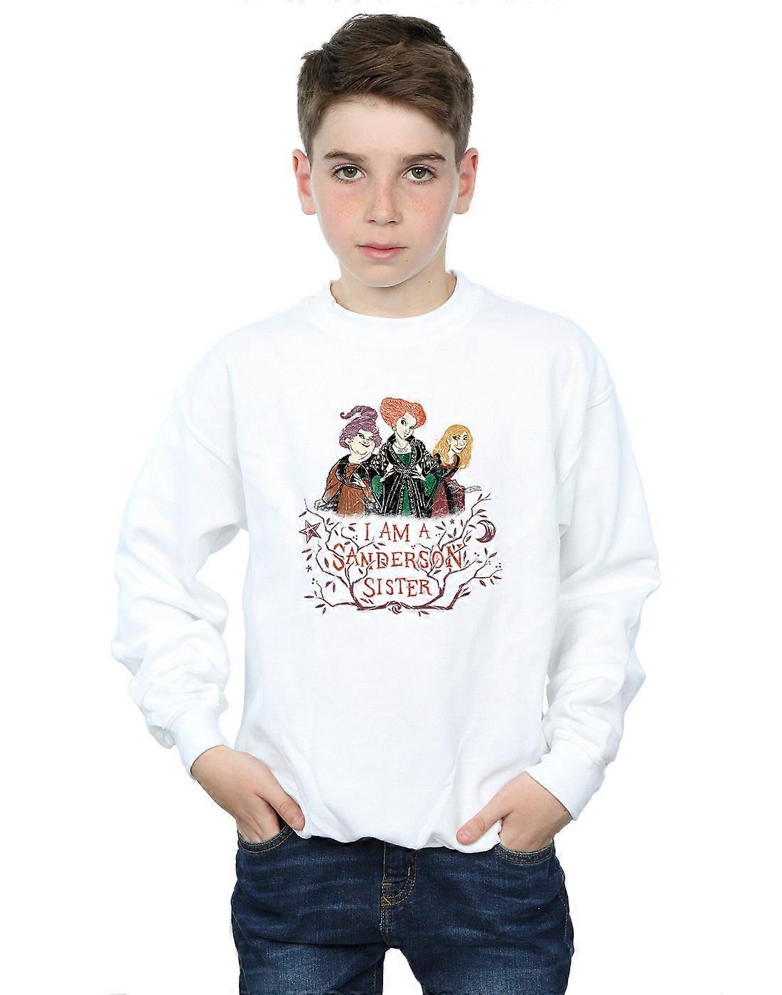 Disney Boys Hocus Pocus Sanderson Sudadera Hermana