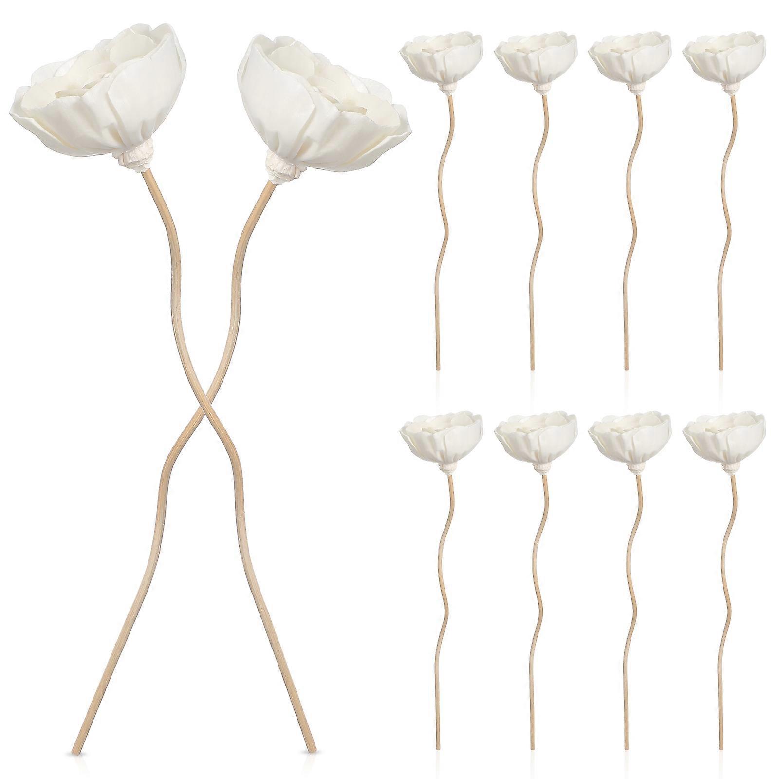 10pcs Dried Flower Diffuser Sticks Essential Oil Diffuser Aroma Diffuser Sticks