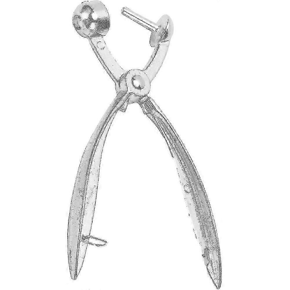 Cherry Pitter Cherry Aluminum Alloy Olive Seed Extractor