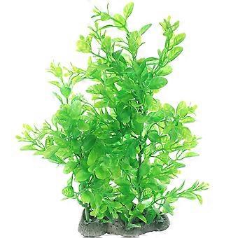 Wassergras-Aquarienpflanze zur Dekoration von Fischbecken