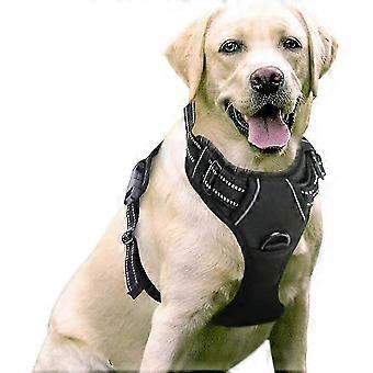 Verstellbares, gepolstertes Hundegeschirr ohne Würgeeffekt