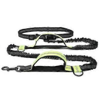 Reflective Bungee Dog Jogging Leash