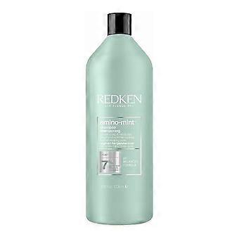 Shampoo Redken Amino Mint 1 L