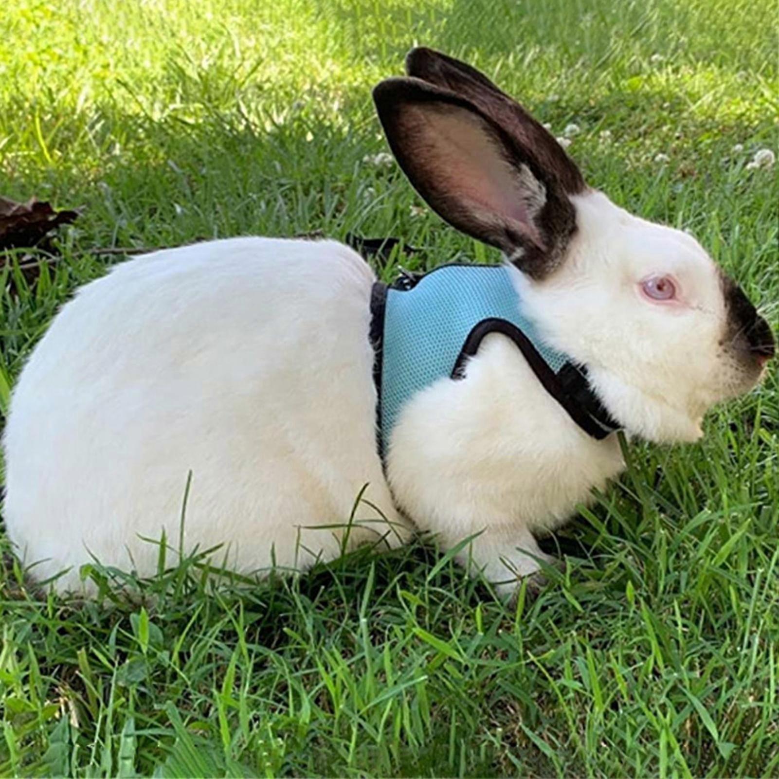 Rabbit Harness Comfortable Adjustable Traction Tool Ferret Rats Hamster Soft Mesh Harness Leash Vest Set Pet Supplies
