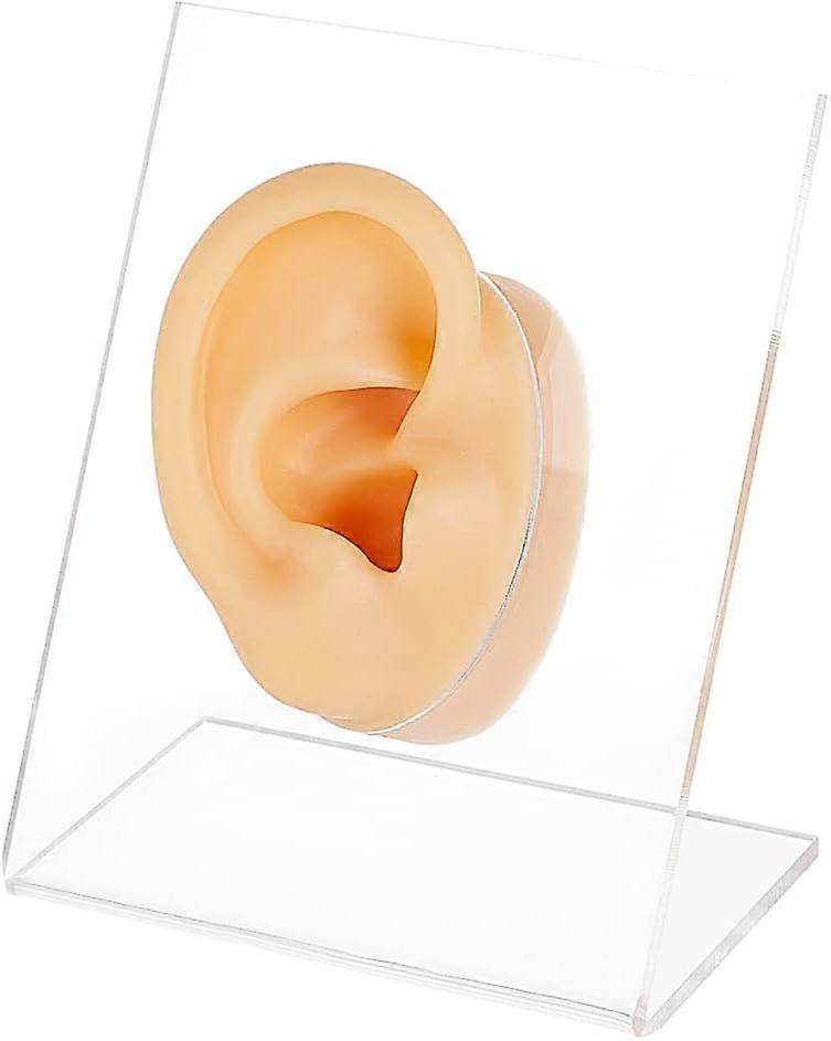 Right Ear Displays Model Silicone Ear Model Rubber Ear Silicone Flexible Ear Model with Acrylic Display Stands for Teaching Tools Jewelry Display Earr