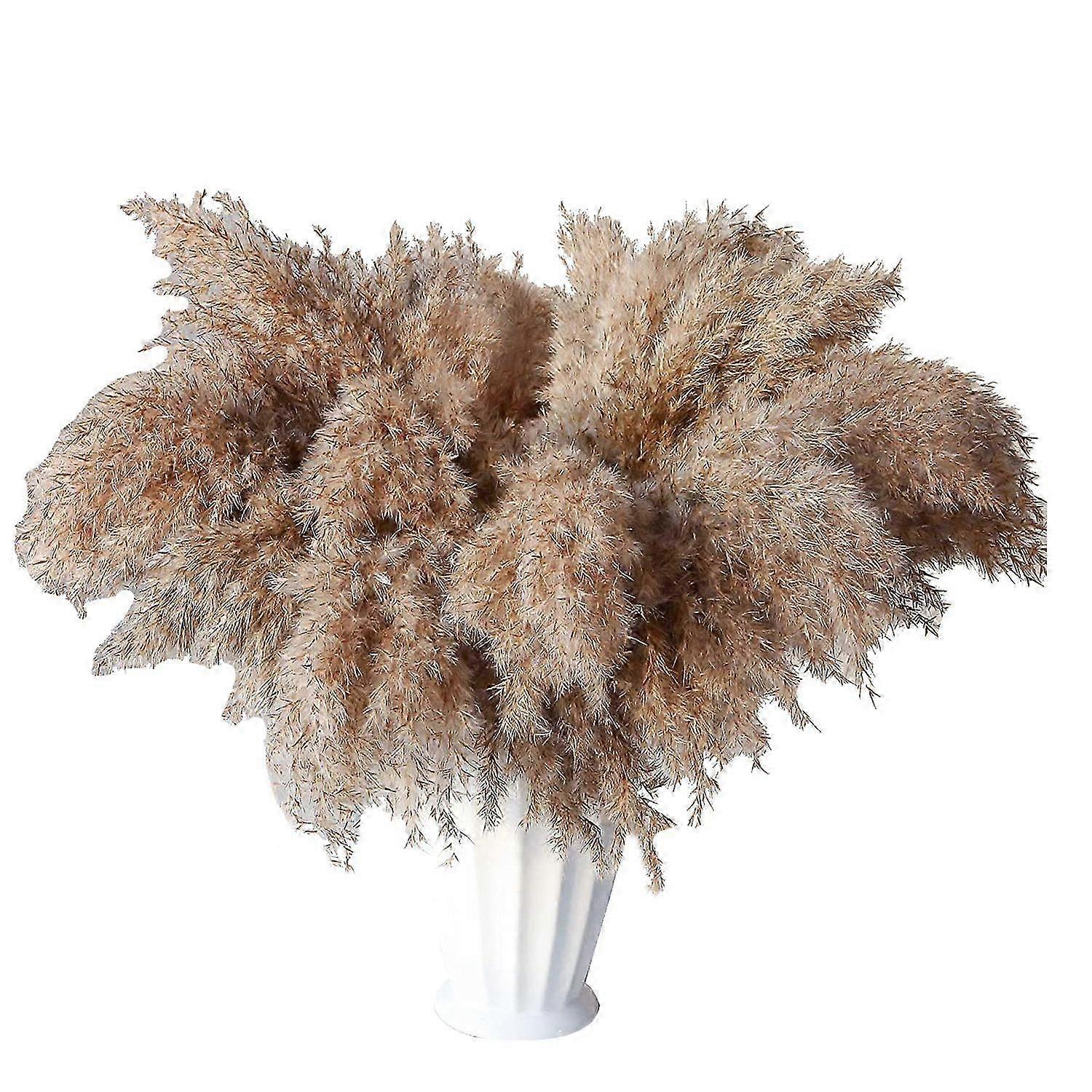30 hastes seca Pampas grama, Wild Pampas Grass Fluffy Pampas Floral, 17 polegadas Bulk Pampas Grass Decor