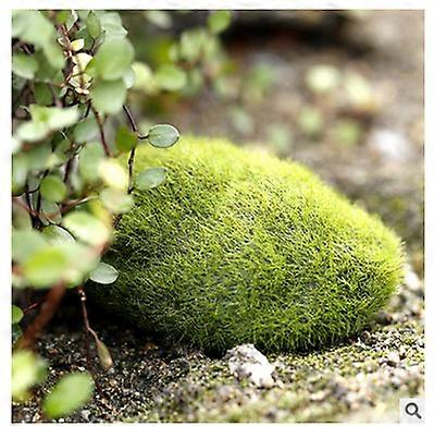 5Pcs Garden Decoration DIY Simulation Moss Stone Artificial Moss Lawn (S)